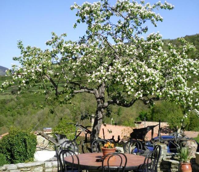 Пансион Hostal Moliné