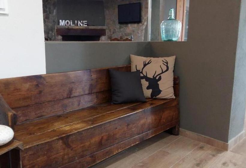 Пансион Hostal Moliné