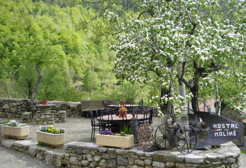 Пансион Hostal Moliné