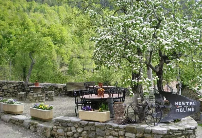 ペンション Hostal Moliné