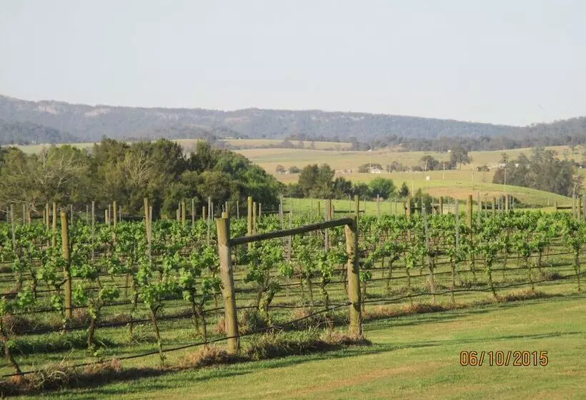 ペンション Tranquil Vale Vineyard