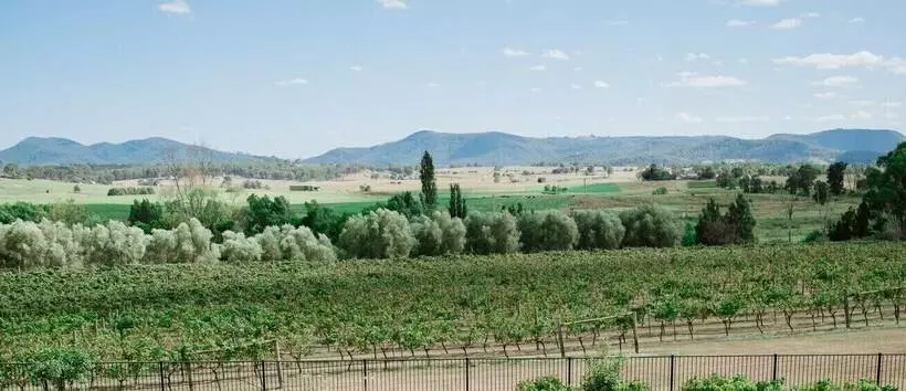 ペンション Tranquil Vale Vineyard