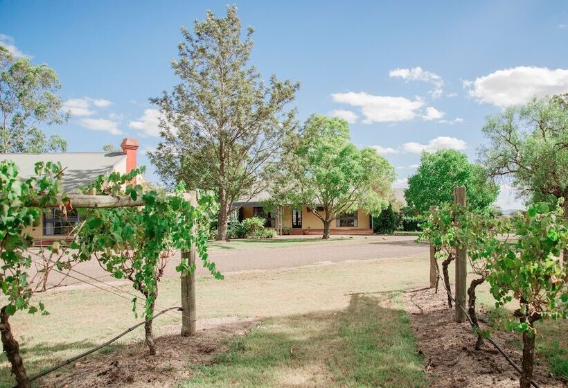 פנסיון Tranquil Vale Vineyard