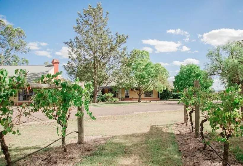 ペンション Tranquil Vale Vineyard