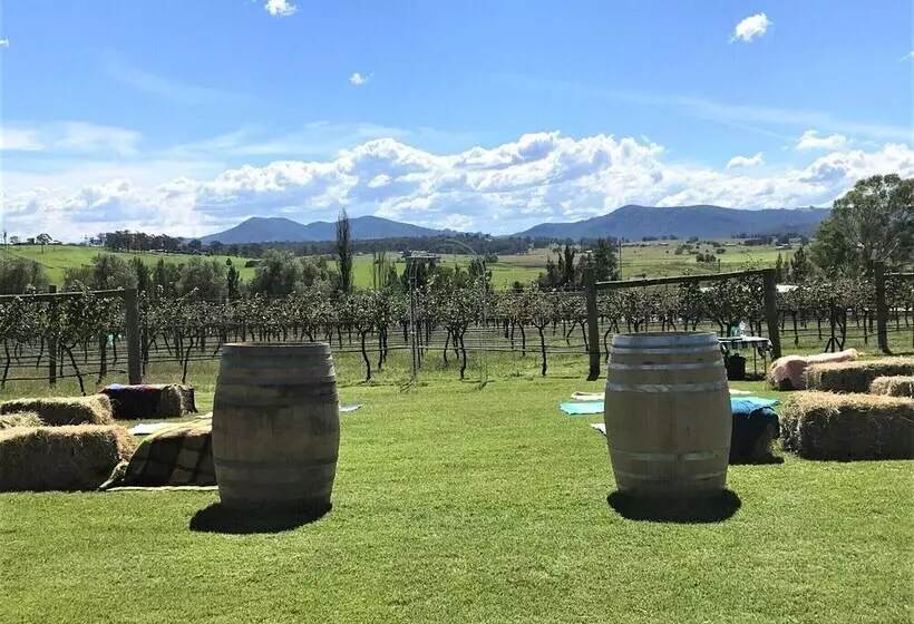 ペンション Tranquil Vale Vineyard