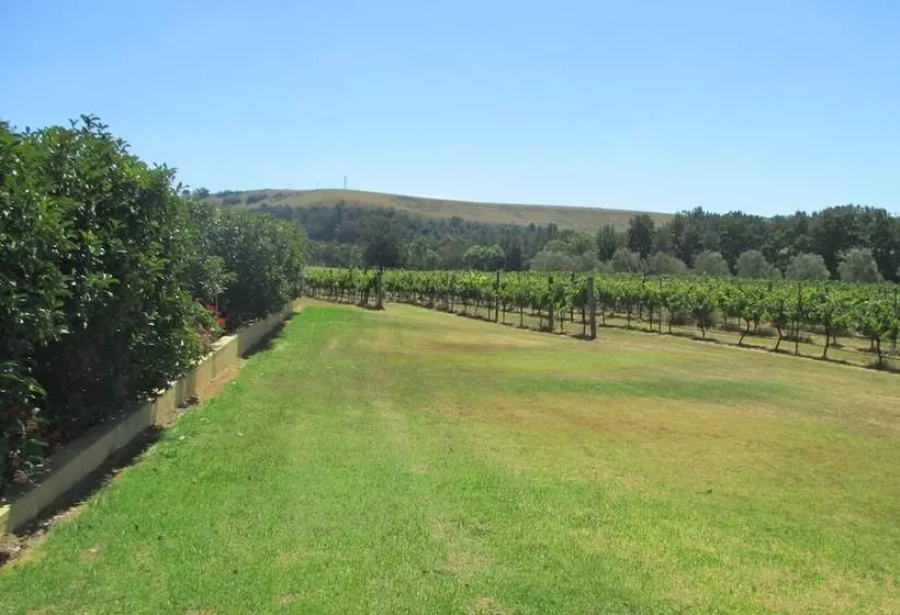 ペンション Tranquil Vale Vineyard