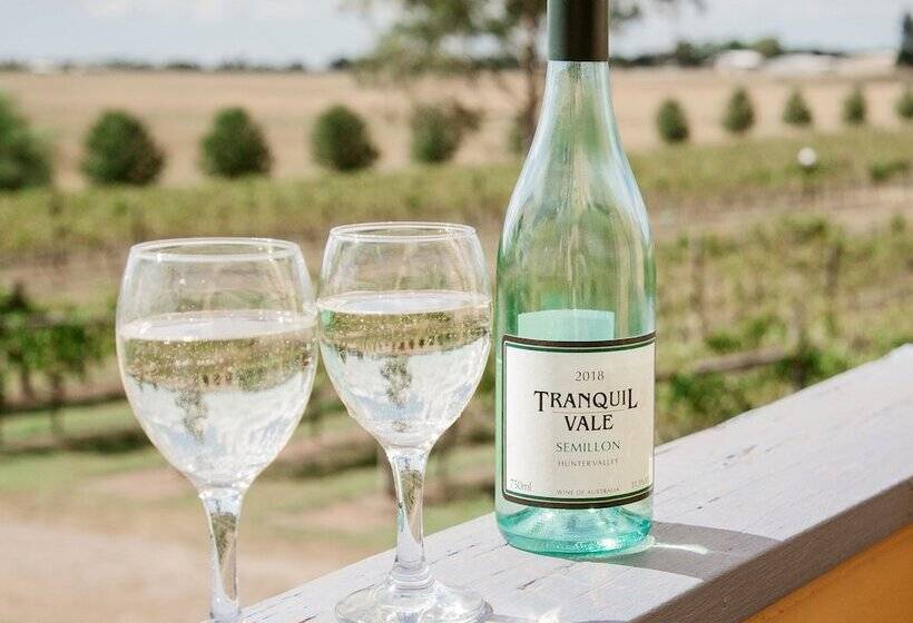 פנסיון Tranquil Vale Vineyard