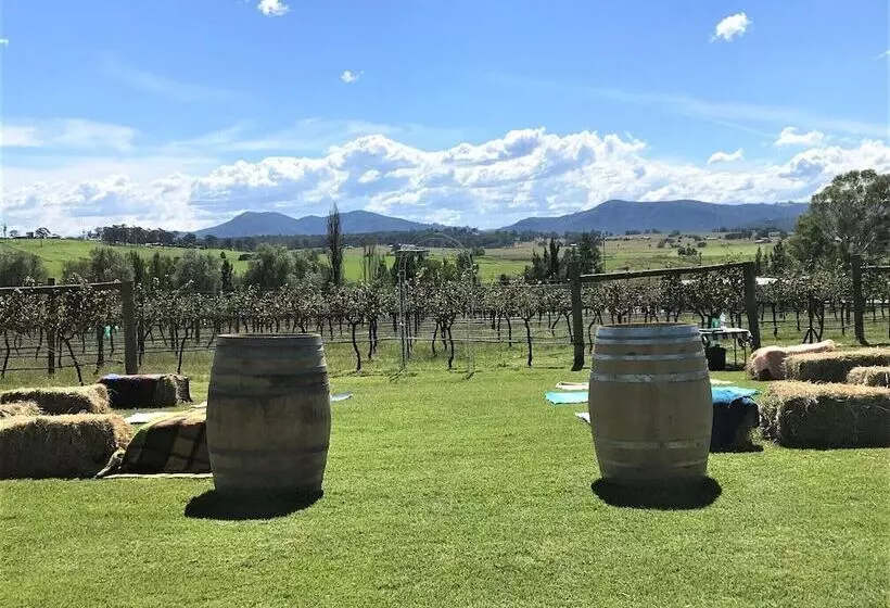 ペンション Tranquil Vale Vineyard