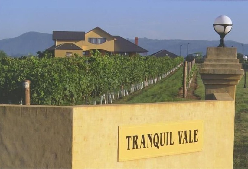 פנסיון Tranquil Vale Vineyard