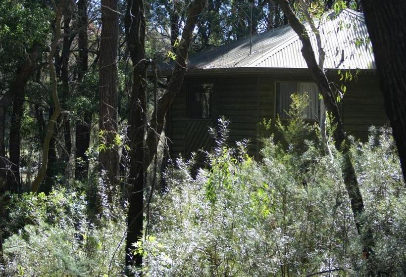 膳宿费 Twin Falls Bush Cottages