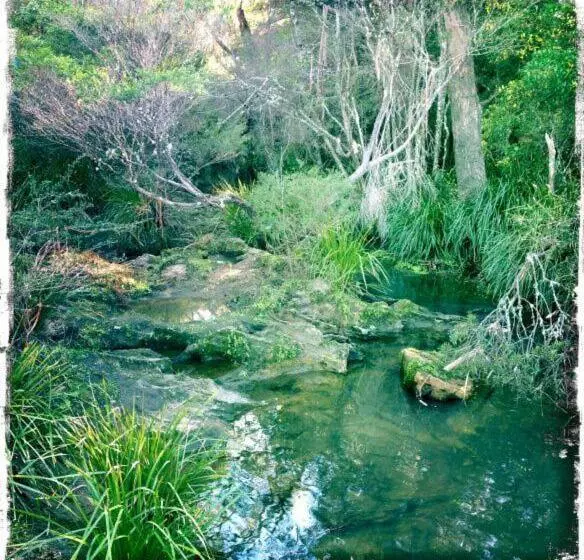 Majatalo Twin Falls Bush Cottages