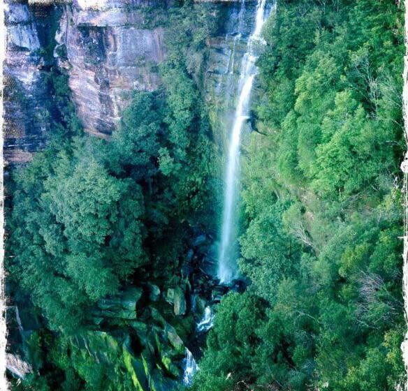 膳宿费 Twin Falls Bush Cottages