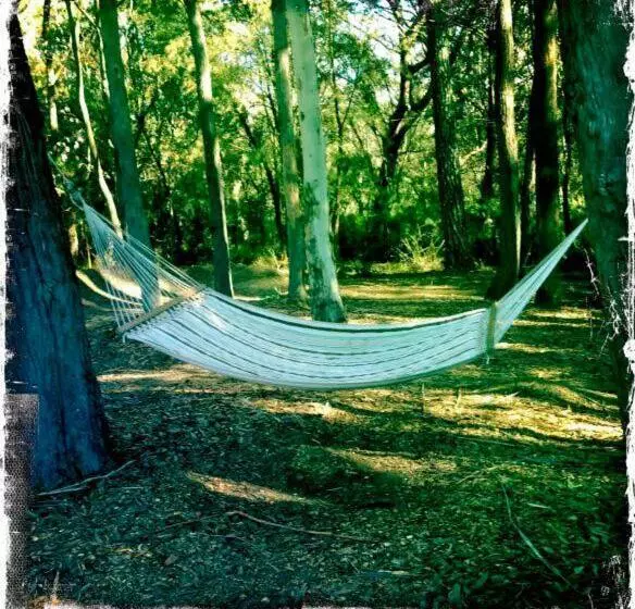 Majatalo Twin Falls Bush Cottages