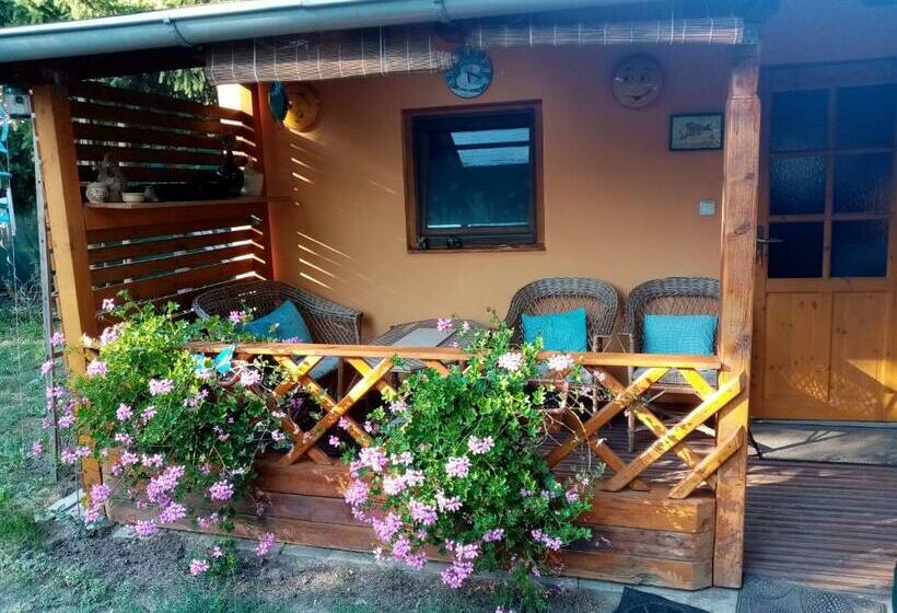 ユースホステル Penzion Slunce Nad Vinným Sklepem