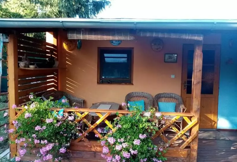 هاستل Penzion Slunce Nad Vinným Sklepem