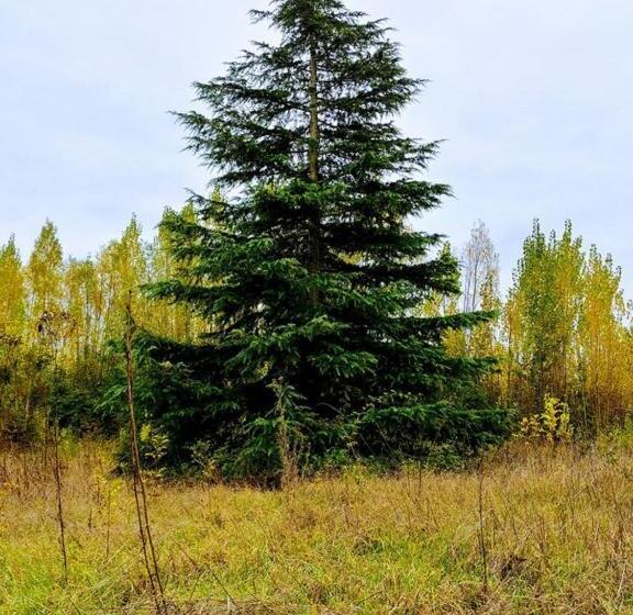 Bed and Breakfast Chambres D Hotes Manoir Le Cristal  Futuroscope à Petit Prix