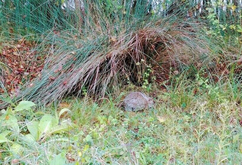 Bed and Breakfast Chambres D Hotes Manoir Le Cristal  Futuroscope à Petit Prix