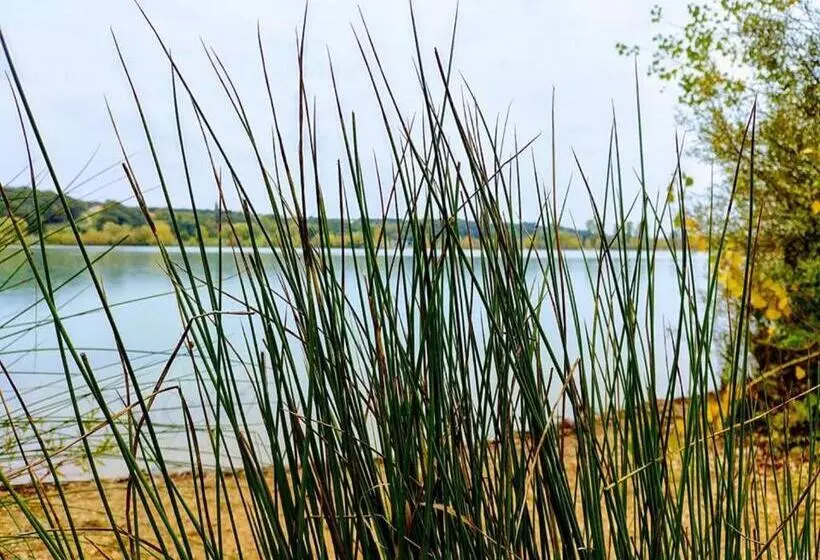 ベッドアンドブレックファースト Chambres D Hotes Manoir Le Cristal  Futuroscope à Petit Prix