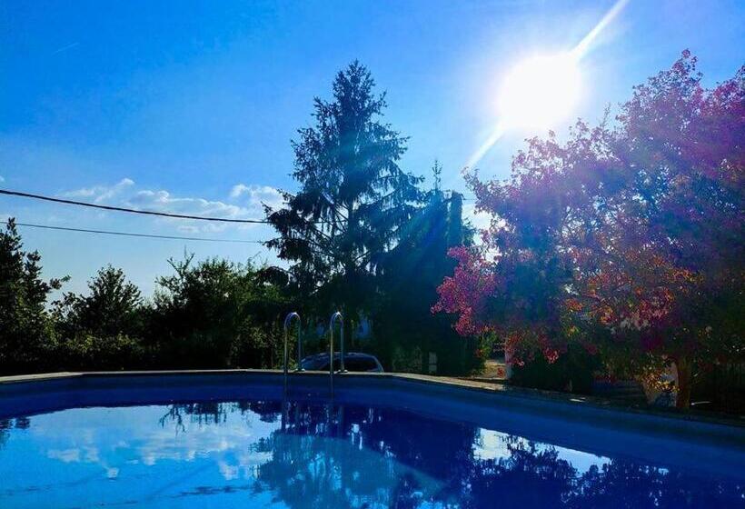 Bed and Breakfast Chambres D Hotes Manoir Le Cristal  Futuroscope à Petit Prix