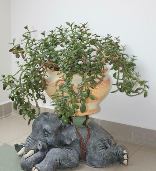 Bed and Breakfast Ludas Fogadó