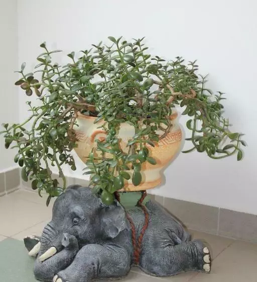 ベッドアンドブレックファースト Ludas Fogadó