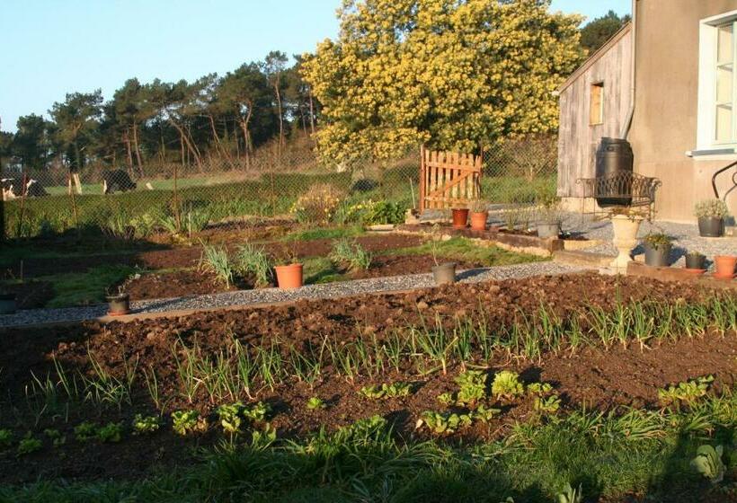 ベッドアンドブレックファースト Préméhan