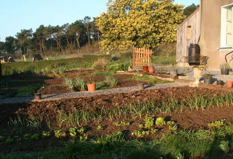 Aamiaismajoitus (B&B) Préméhan