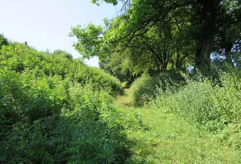 Grange D'anjeux Bed & Breakfast