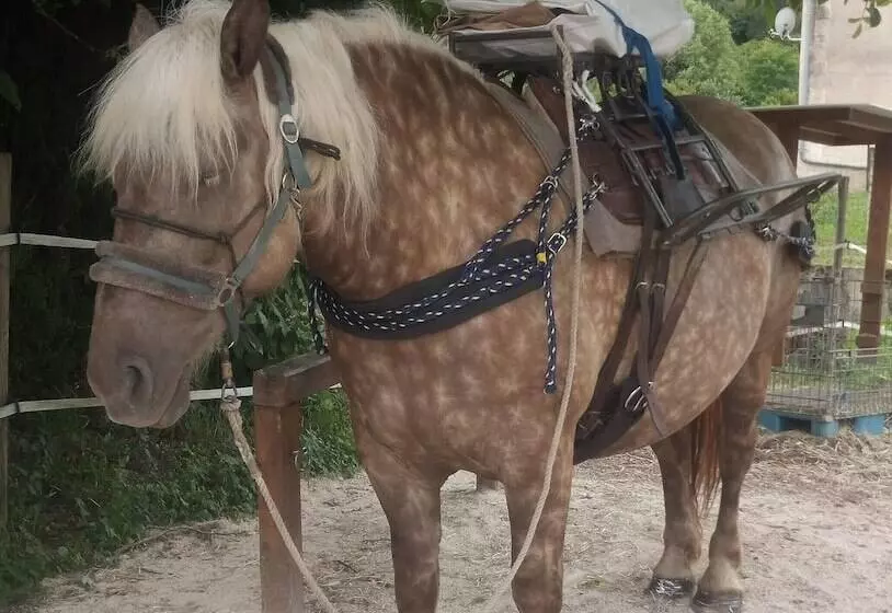 Grange D'anjeux Bed & Breakfast