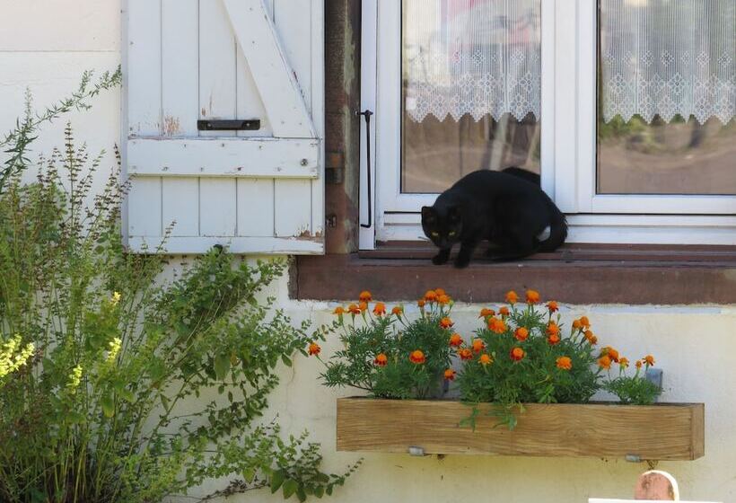 Grange D'anjeux Bed & Breakfast