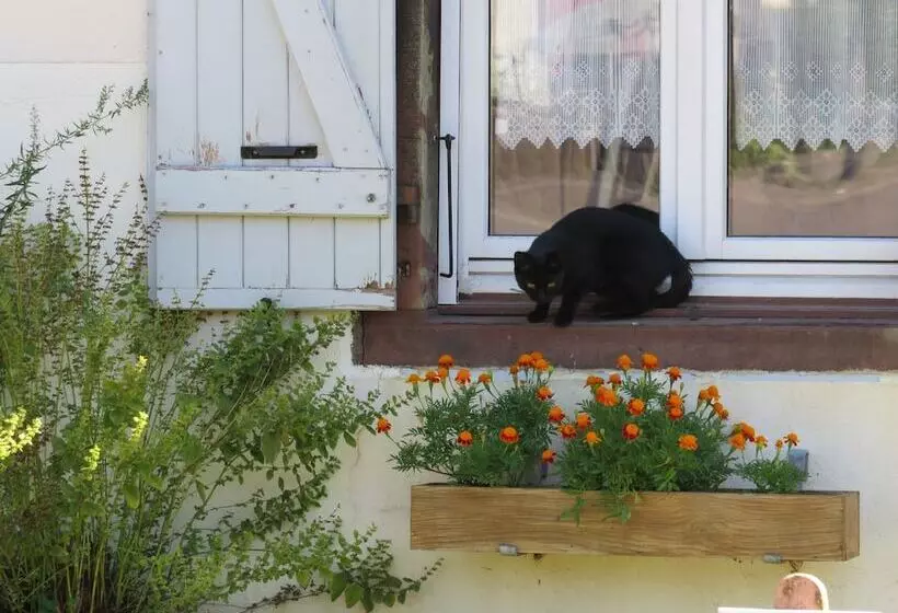 Grange D'anjeux Bed & Breakfast