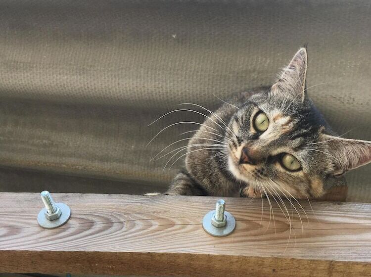 Grange D'anjeux Bed & Breakfast