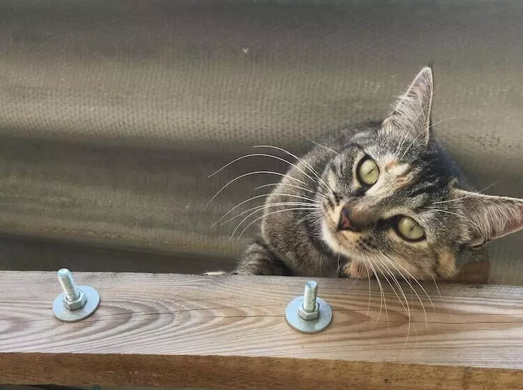 Grange D'anjeux Bed & Breakfast