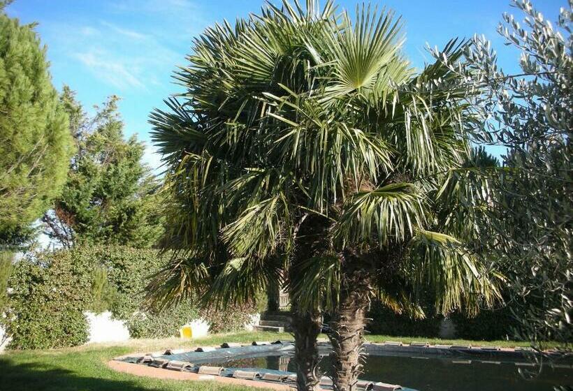 호텔 Agriturismo San Vito