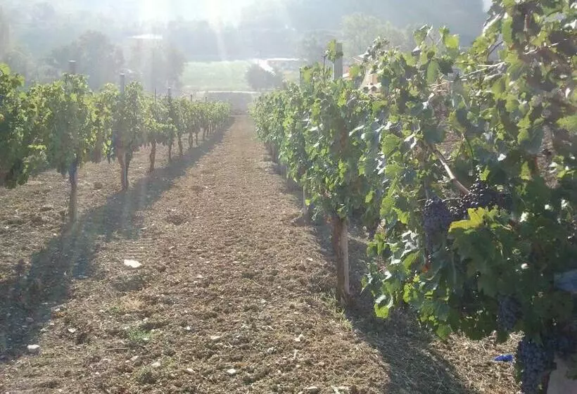 ホテル Agriturismo San Vito