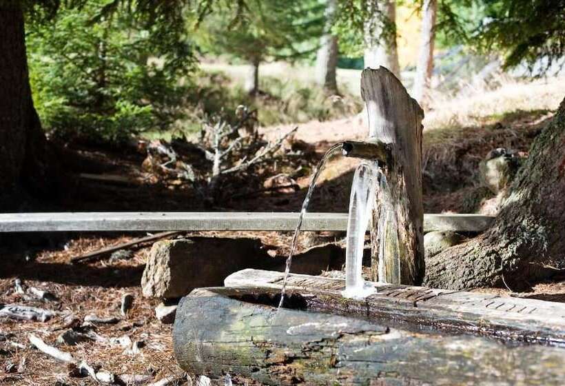 Отель Haus An Der Luck