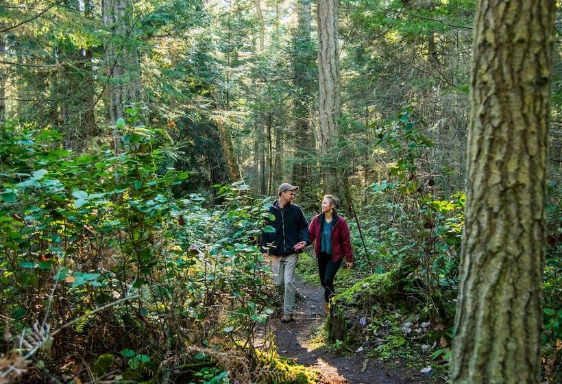 酒店 The Edenwild Boutique Inn