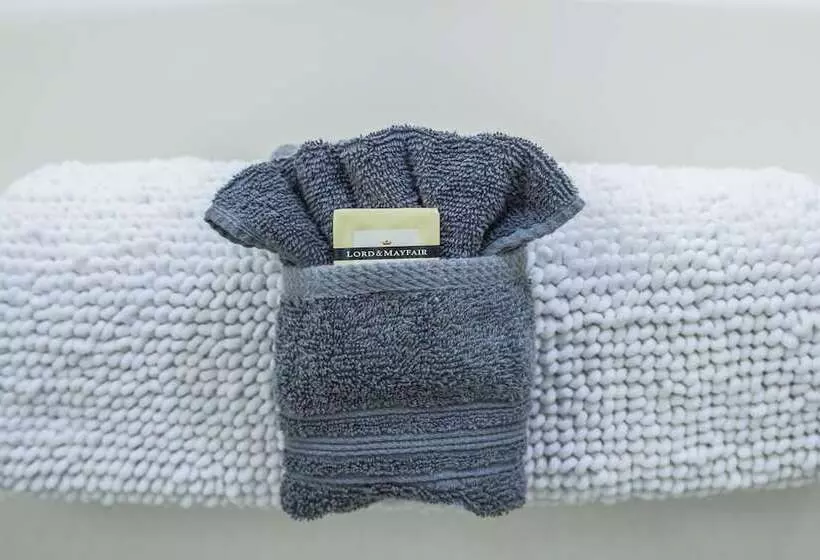 هتل The Edenwild Boutique Inn