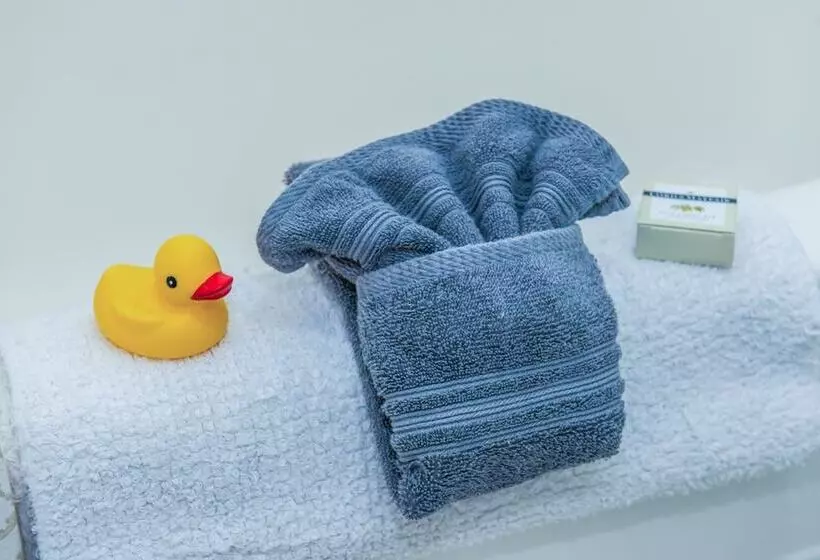 هتل The Edenwild Boutique Inn