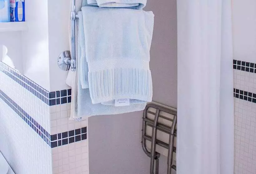 هتل The Edenwild Boutique Inn