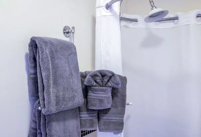 هتل The Edenwild Boutique Inn