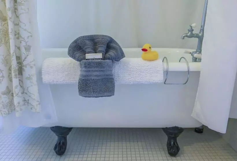 هتل The Edenwild Boutique Inn