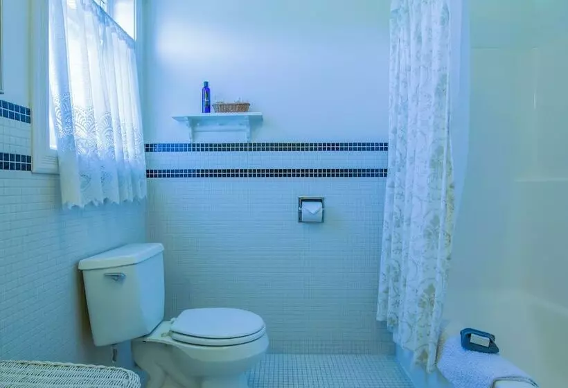 هتل The Edenwild Boutique Inn