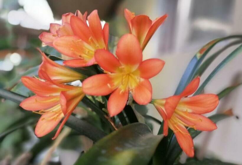 Пансион Börzsönykapuja Vendégház