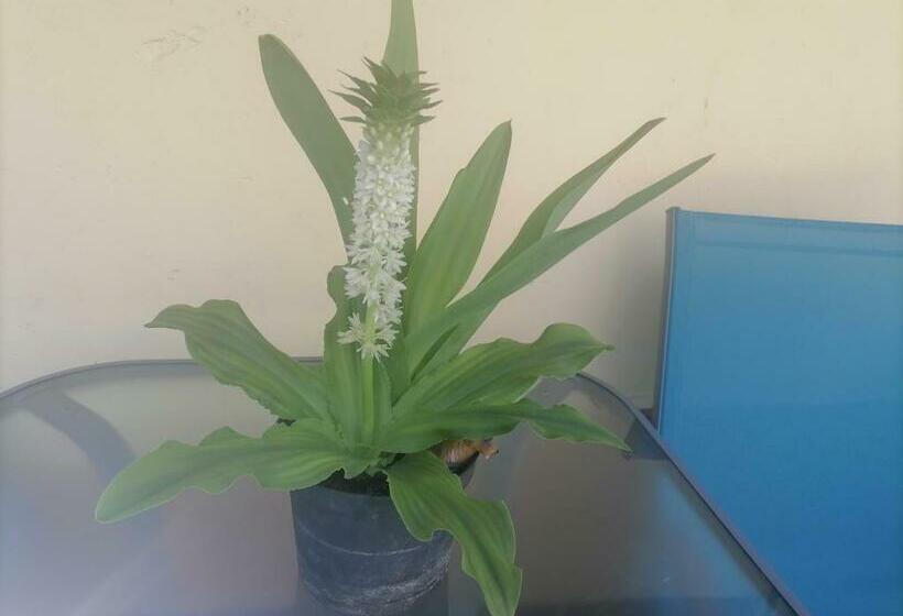 Пансион Börzsönykapuja Vendégház