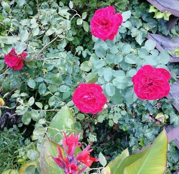 Пансион Börzsönykapuja Vendégház