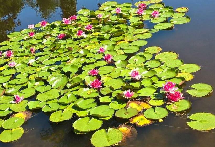 Пансион Castel La Bergerie