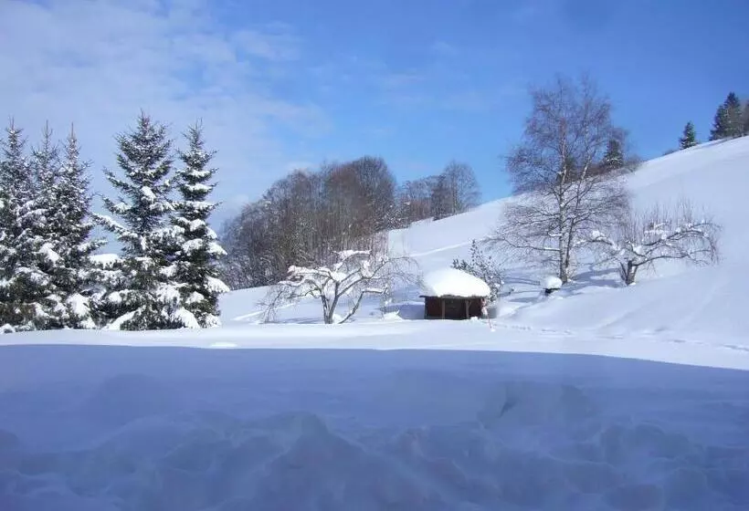 Majatalo Gästehaus Schlegel