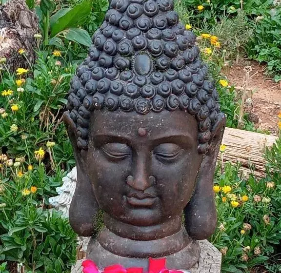 Pensión Isla   Couples Only