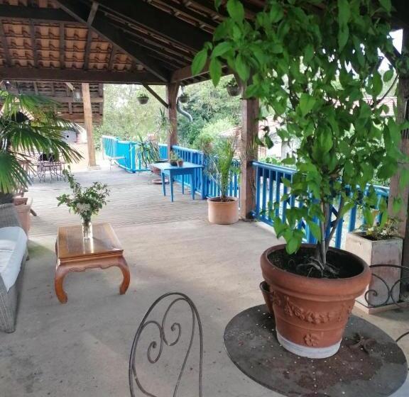 بنسيون Maison D'hotes Le Chai D'armagnac